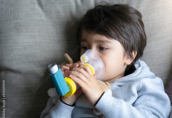 AdobeStock_314261949_Preview